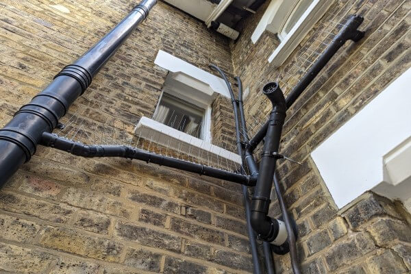 PEST CONTROL HERTFORD, Hertfordshire. Services: Bird Spikes And Netting. Keep your Hertford property bird-free with our expert bird spike and netting solutions.