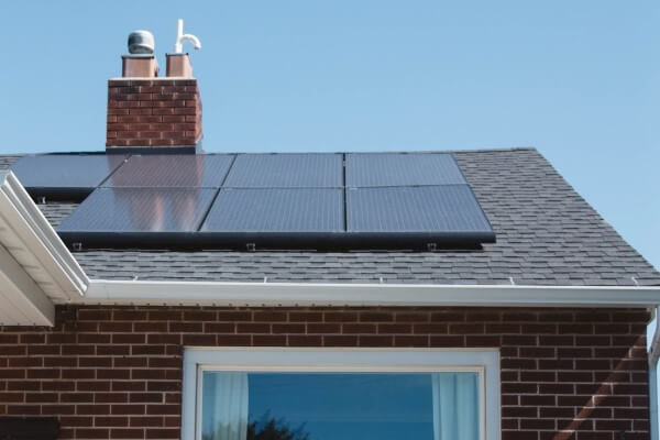 PEST CONTROL HERTFORD, Hertfordshire. Services: Solar Panel Bird Proofing. Safeguard Your Solar Panels with Expert Bird Proofing Services from Local Pest Control Ltd in Hertford